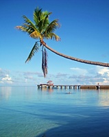 Wakatobi National Park Indonesia 27